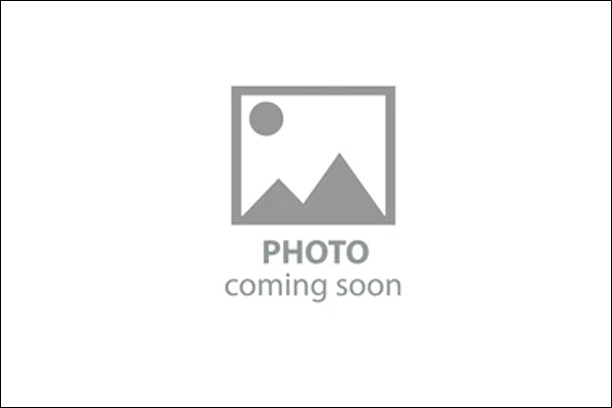 Column and Boom Manipulators